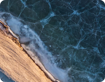 Liquidity Management